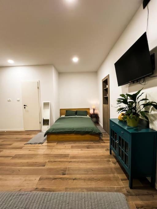 Studio Apartment Joanna Rijeka Buitenkant foto